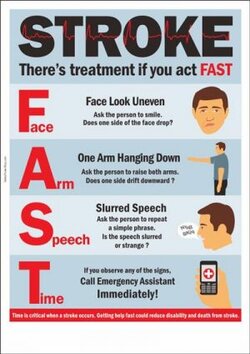 Act_FAST-e1463657194934.jpg