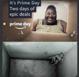 1723598982193.jpeg