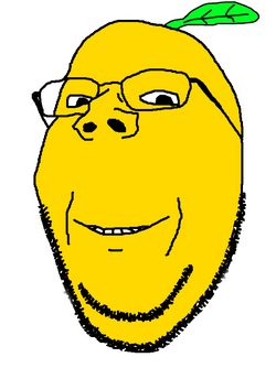 1000000320.png