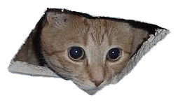 Ceiling_Cat.png