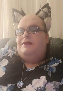 cat tranny.jpg