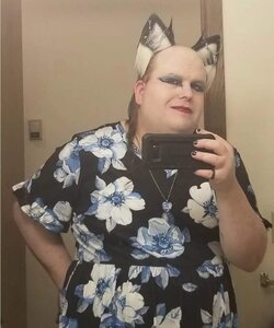 cat tranny2.jpg