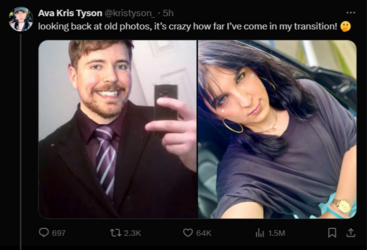 FireShot Capture 1298 - Posts with replies by Ava Kris Tyson (@kristyson_) _ X - twitter.com.png