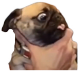 9AF11443-F11A-4E4C-BEAB-32579752AF38.png