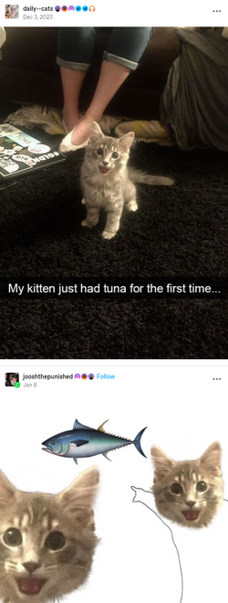 tuna.png
