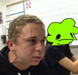 Lumii_20240816_061528147.jpg