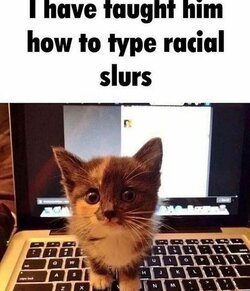 cattyping.jpg