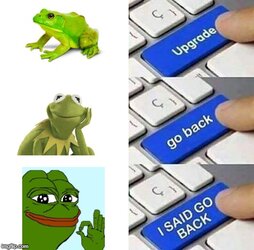 2neb6y.jpg
