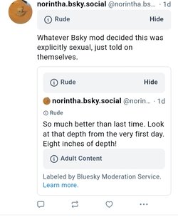 Screenshot_20240816_173017_Samsung Internet.jpg