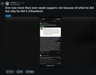 FireShot Capture https___www.reddit.com_r_TheEret - Eret now more than ever needs suppo_ - 29 ...png