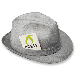 Kiwi Press Logo.png