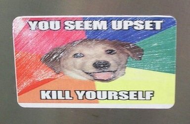 tumblr_f026c1c70aa66e80919e25fb8a141098_34855aa7_500.jpg
