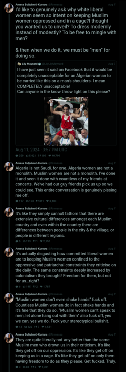 Screenshot_20240817-230944_(1).png