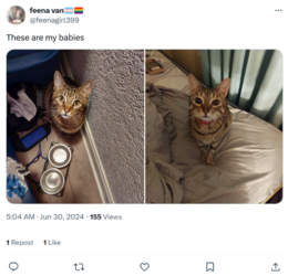 1723965328450.png