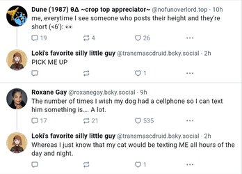 cat text.jpg