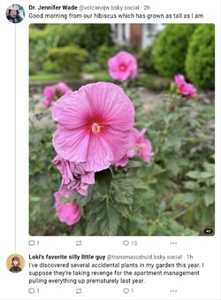 flower.jpg