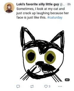 cat.jpg