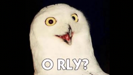 Orly.png