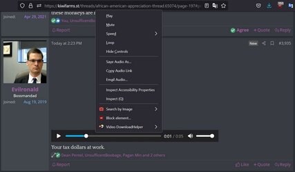 video-displaying-as-audio-file.jpg