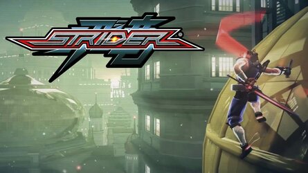 strider.jpg