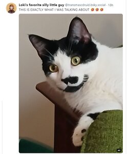 talking about.jpg