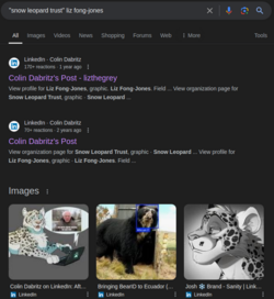google-1.png