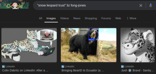 google-2.png