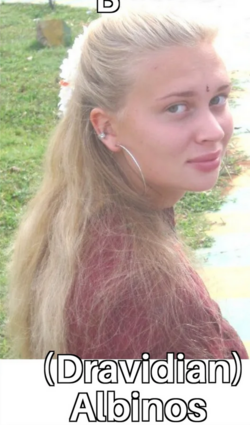 1724101011499.png