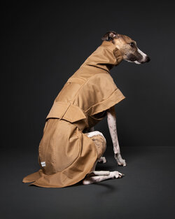 ellen fashion 2.jpg