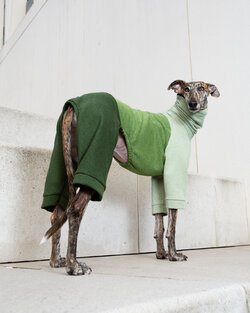 ellen fashion 4.jpg