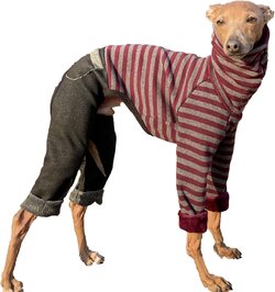 ellen fashion.jpg