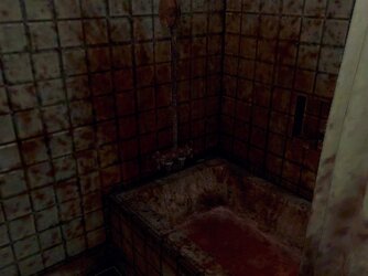 SH Bathroom.jpg