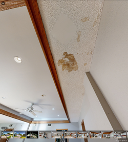 waterdamage.png