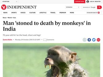 1724170349374.jpeg