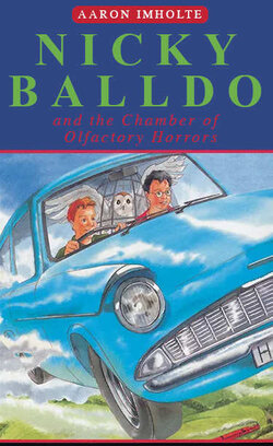 nicky-balldo.jpeg