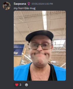Screenshot 2024-08-20 212104.png