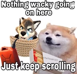 burning furfags.jpg