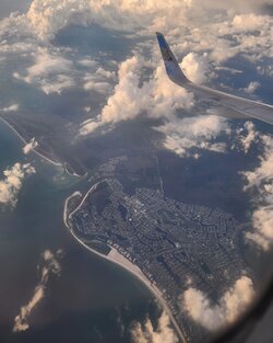 Flown out.jpg