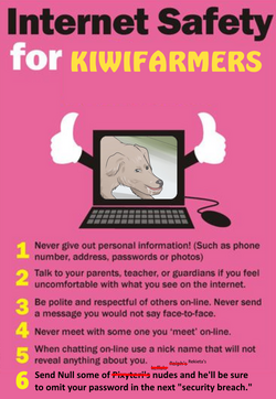 Internet Safety 2024 edition.png