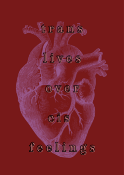 IMG_5817.png