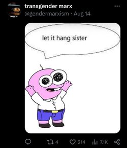 1000030457.jpg