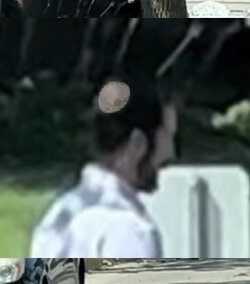 zoom2.jpg