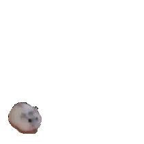 tumblr_73efc0f658a522134de2b1b60d57d229_661b1f15_250.gif