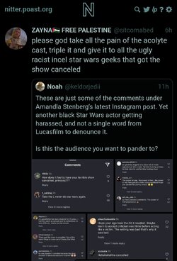 Angry cat lady angry at people called 'incels'.jpg