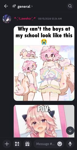 Screenshot_20240821_062755_Discord.jpg