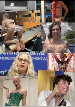 1724379088058.png