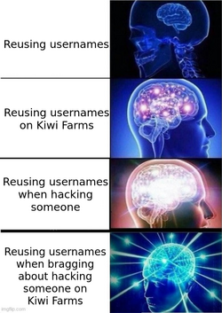 1724384011323.png