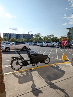 illegal_parking.jpeg