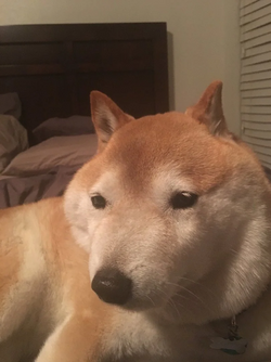1724428757306.png