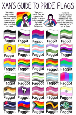 all femboy flags lgbt tranny crap faggots.png